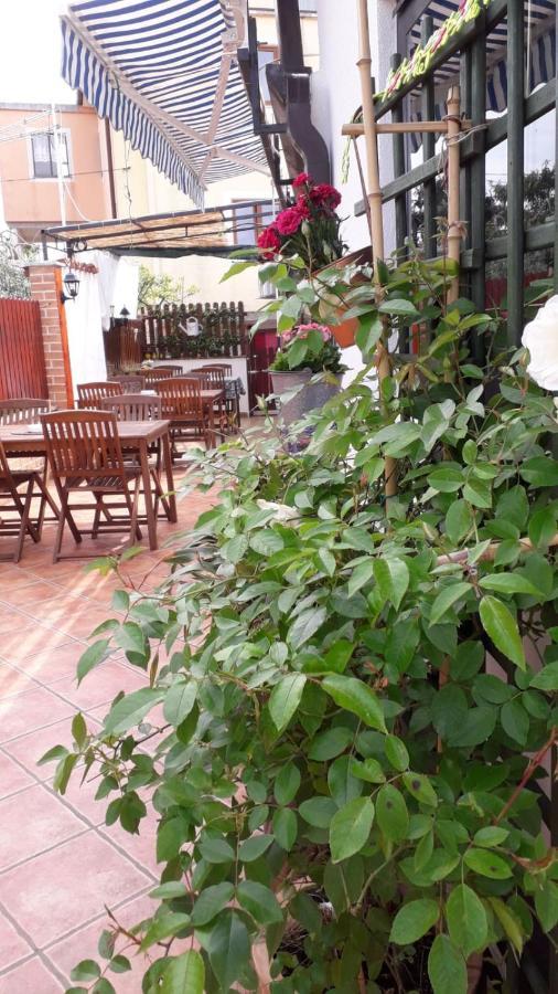 Lavanda Umag Dış mekan fotoğraf