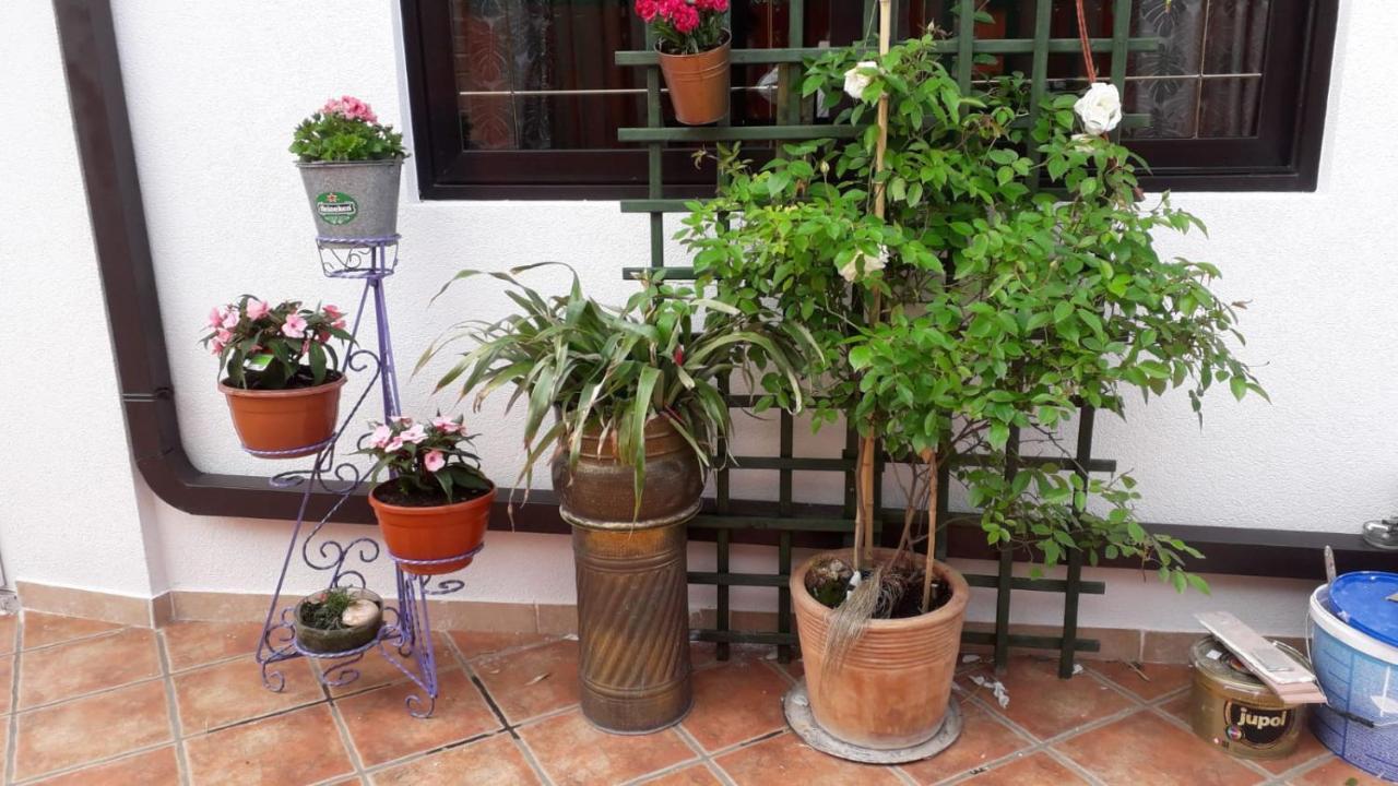 Lavanda Umag Dış mekan fotoğraf
