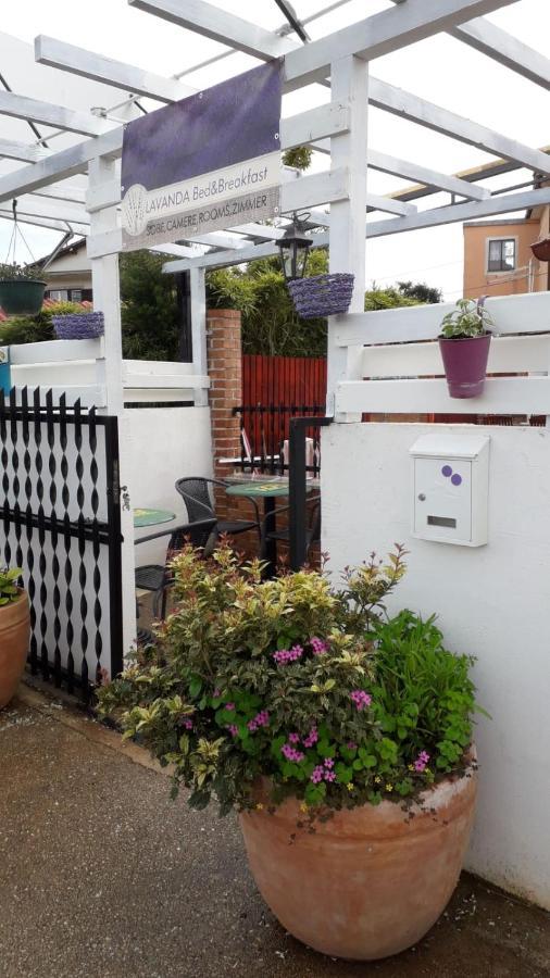 Lavanda Umag Dış mekan fotoğraf